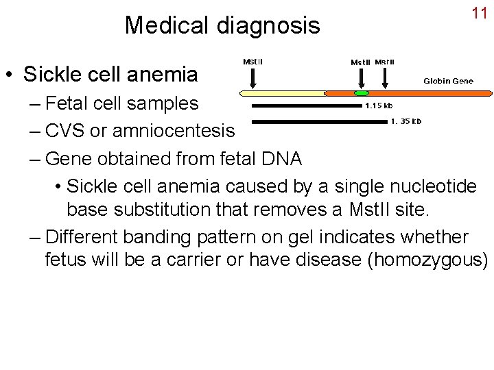 Medical diagnosis 11 • Sickle cell anemia – Fetal cell samples – CVS or