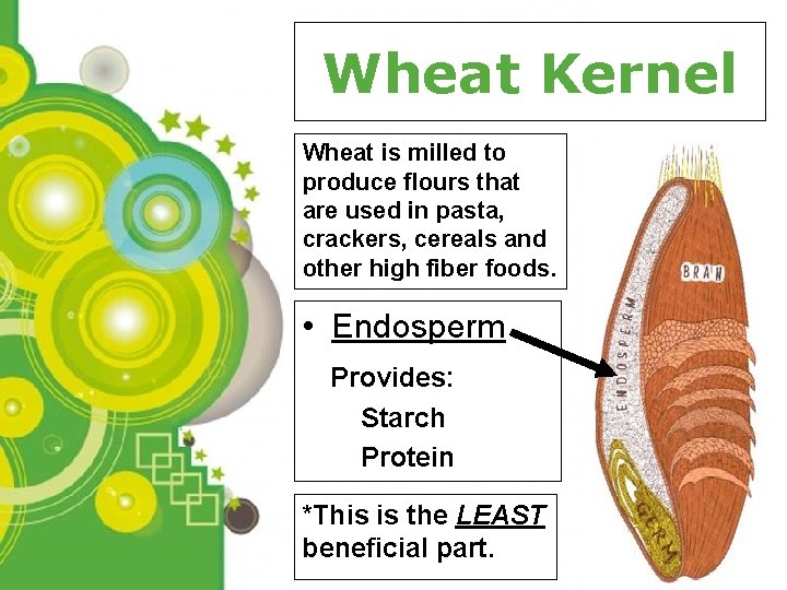 Wheat Kernel Wheat is milled to produce flours that are used in pasta, crackers,