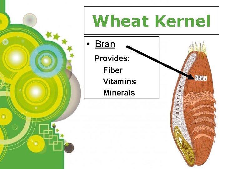 Wheat Kernel • Bran Provides: Fiber Vitamins Minerals Powerpoint Templates Page 9 
