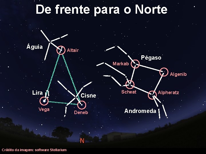 De frente para o Norte Águia Altair Pégaso Markab Algenib Lira Vega Crédito da