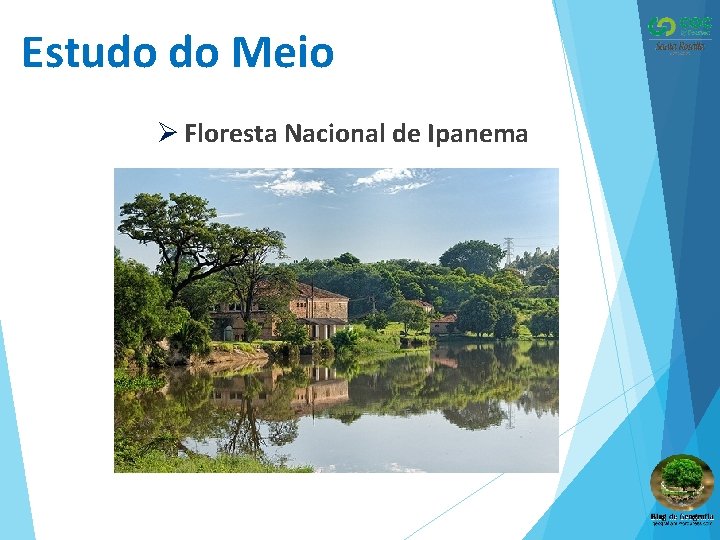 Estudo do Meio Ø Floresta Nacional de Ipanema 