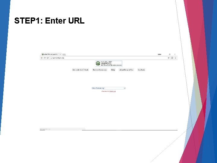 STEP 1: Enter URL 