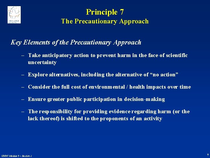 Principle 7 The Precautionary Approach Key Elements of the Precautionary Approach – Take anticipatory