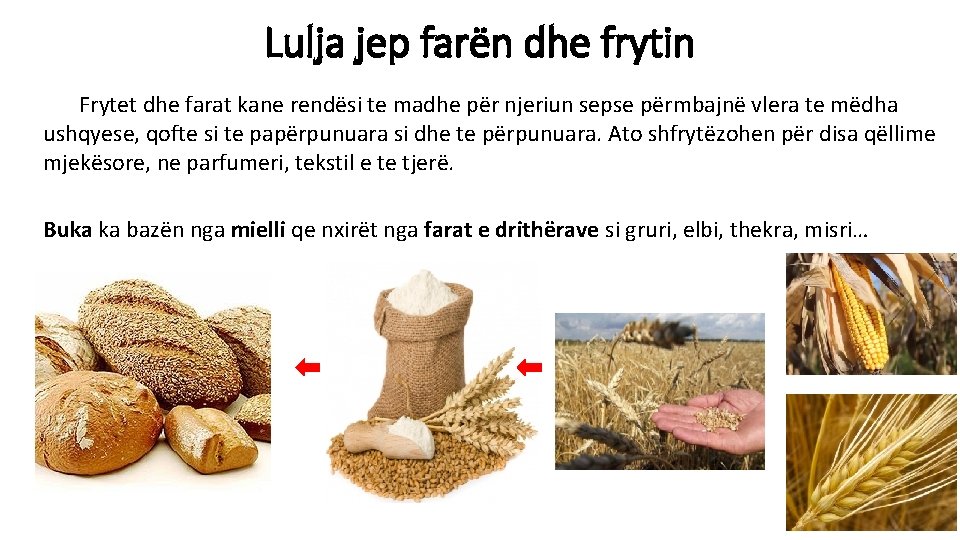 Lulja jep farën dhe frytin Frytet dhe farat kane rendësi te madhe për njeriun