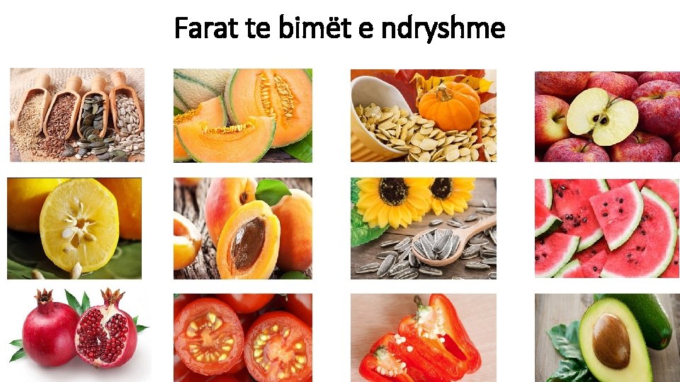 Farat te bimët e ndryshme 