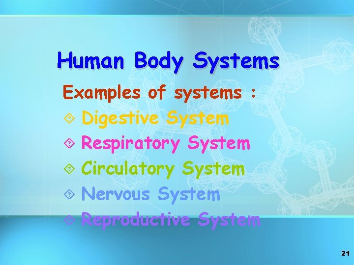 Human Body Systems Examples of systems : ´ Digestive System ´ Respiratory System ´