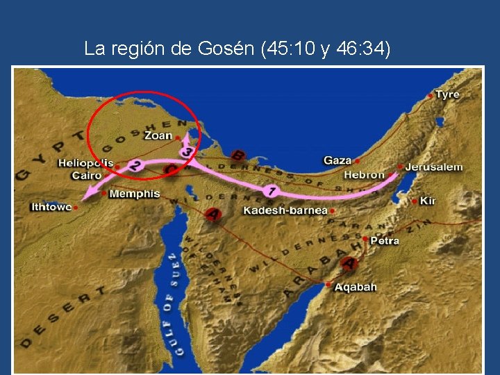 La región de Gosén (45: 10 y 46: 34) 