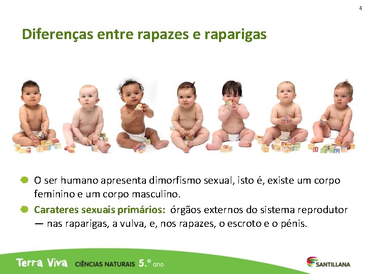 4 Diferenças entre rapazes e raparigas O ser humano apresenta dimorfismo sexual, isto é,