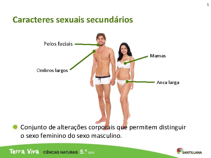 5 Caracteres sexuais secundários Pelos faciais Mamas Ombros largos Anca larga Conjunto de alterações