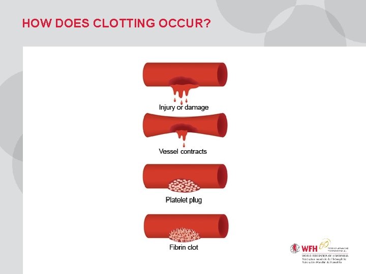 HOW DOES CLOTTING OCCUR? 