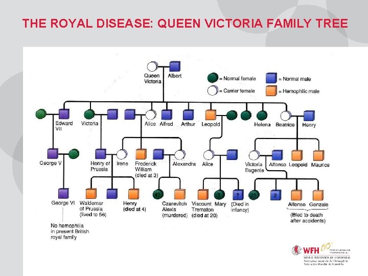 THE ROYAL DISEASE: QUEEN VICTORIA FAMILY TREE 
