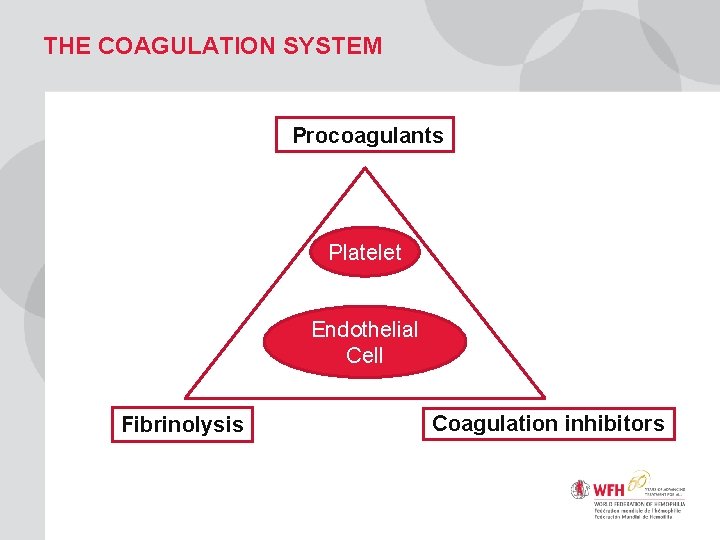 THE COAGULATION SYSTEM Procoagulants Platelet Endothelial Cell Fibrinolysis Coagulation inhibitors 