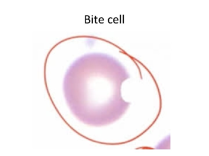 Bite cell 