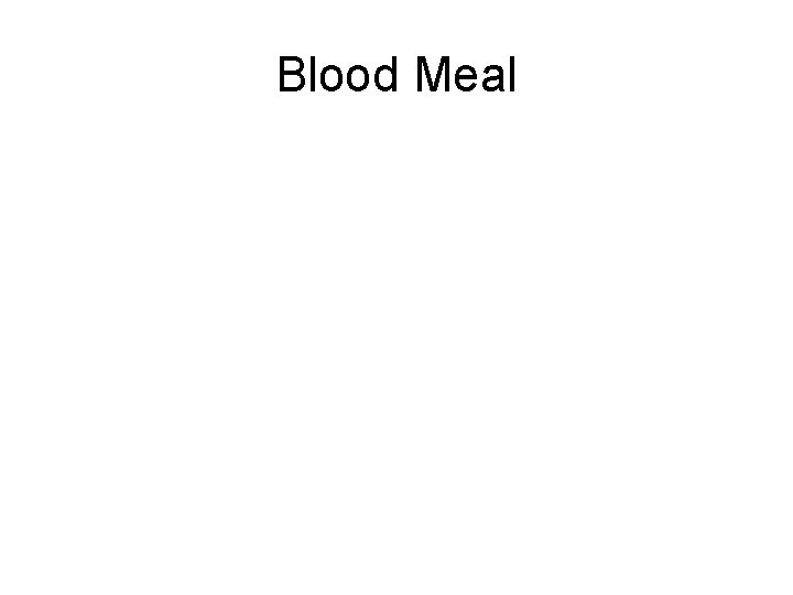 Blood Meal 