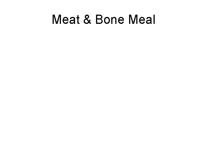 Meat & Bone Meal 