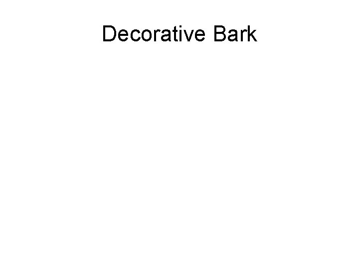 Decorative Bark 