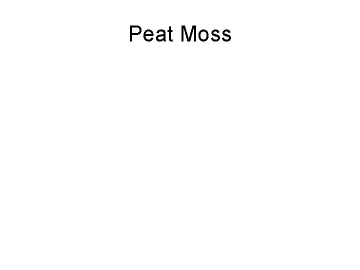 Peat Moss 