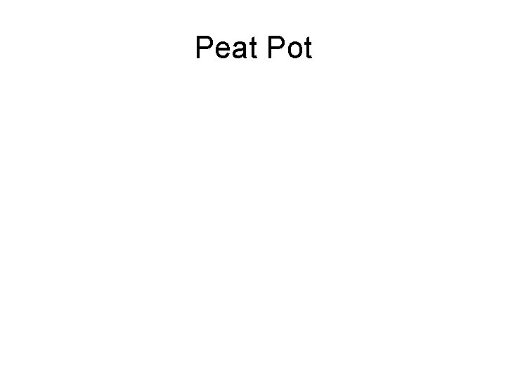 Peat Pot 