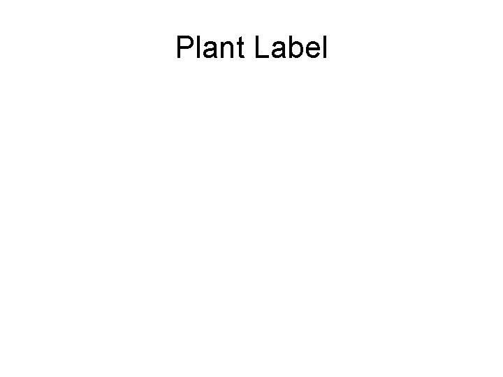 Plant Label 