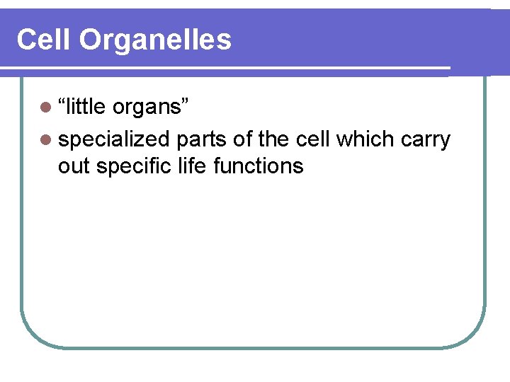 Cell Organelles l “little organs” l specialized parts of the cell which carry out