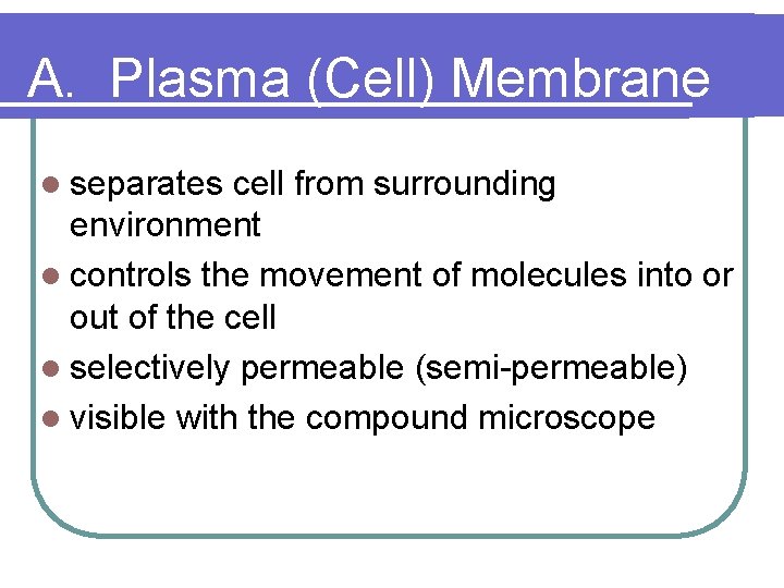 A. Plasma (Cell) Membrane l separates cell from surrounding environment l controls the movement
