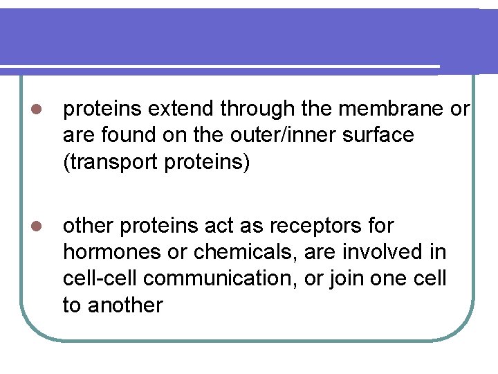 l proteins extend through the membrane or are found on the outer/inner surface (transport
