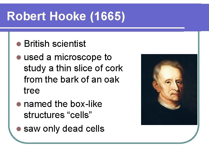 Robert Hooke (1665) l British scientist l used a microscope to study a thin