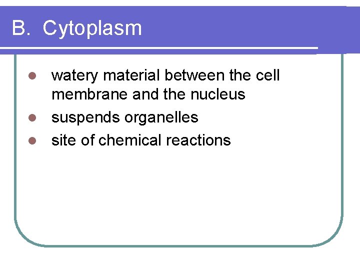 B. Cytoplasm watery material between the cell membrane and the nucleus l suspends organelles