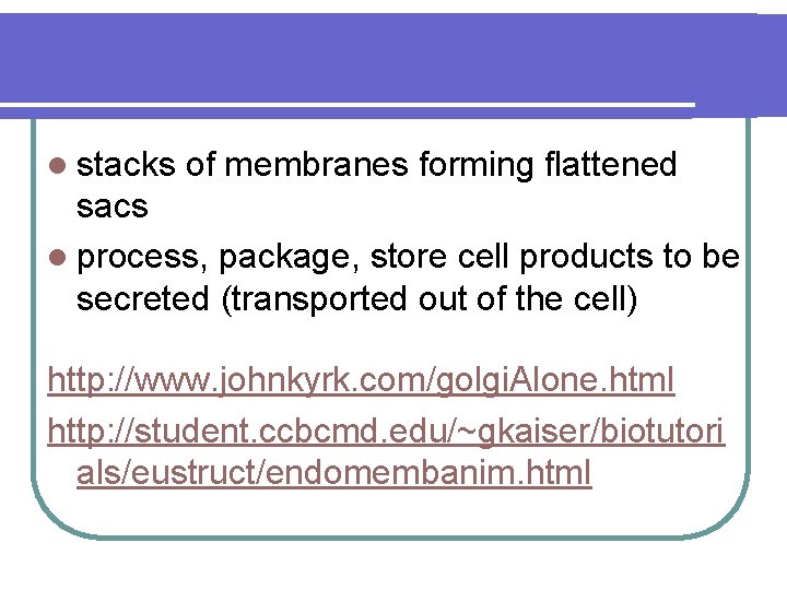 l stacks of membranes forming flattened sacs l process, package, store cell products to