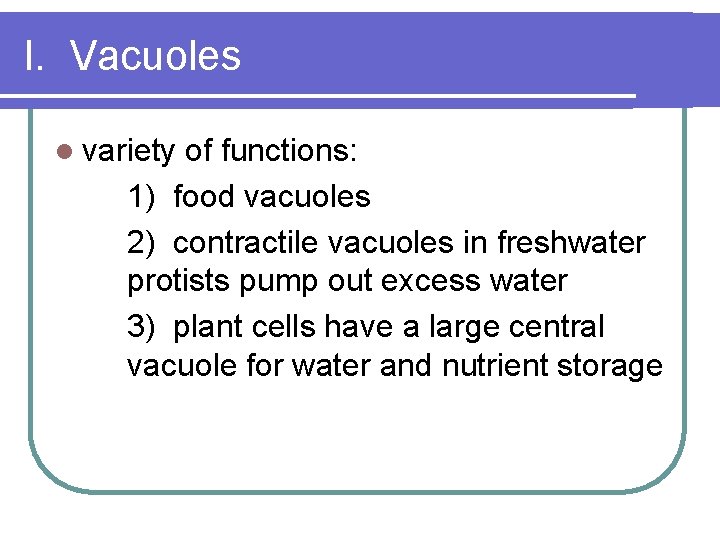 I. Vacuoles l variety of functions: 1) food vacuoles 2) contractile vacuoles in freshwater