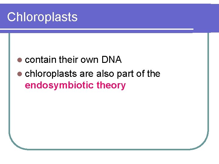 Chloroplasts l contain their own DNA l chloroplasts are also part of the endosymbiotic