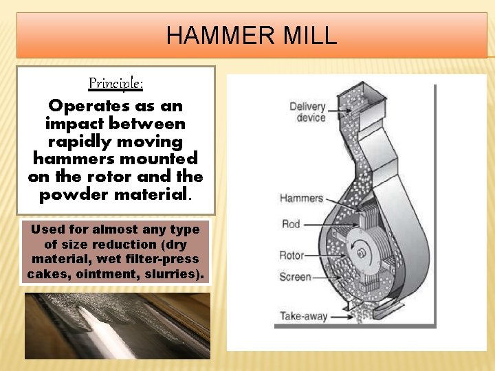 HAMMER MILL Principle: Operates as an impact between rapidly moving hammers mounted on the