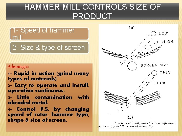 HAMMER MILL CONTROLS SIZE OF PRODUCT 1 - Speed of hammer mill 2 -