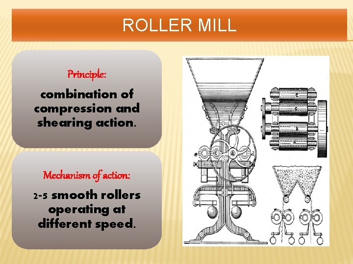 ROLLER MILL Principle: combination of compression and shearing action. Mechanism of action: 2 -5