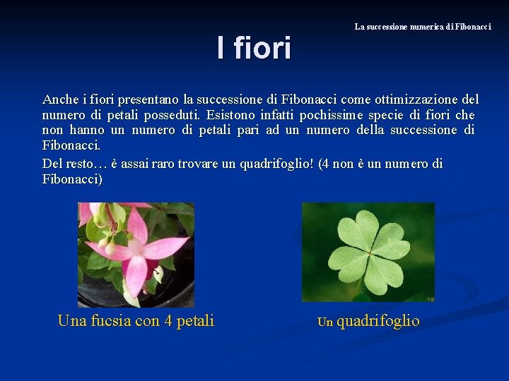 I fiori La successione numerica di Fibonacci Anche i fiori presentano la successione di