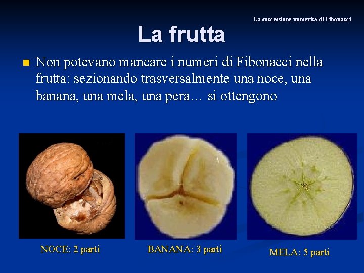 La frutta n La successione numerica di Fibonacci Non potevano mancare i numeri di