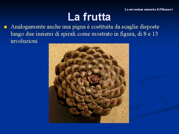 La frutta n La successione numerica di Fibonacci Analogamente anche una pigna è costituita