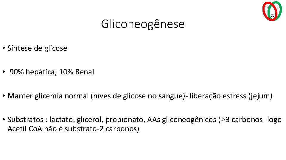 Básico Gliconeogênese Clínic o MSP 4211 • Síntese de glicose • 90% hepática; 10%