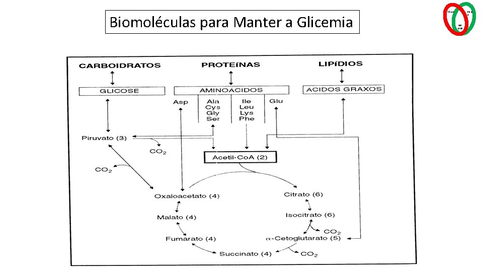 Biomoléculas para Manter a Glicemia Básico Clínic o MSP 4211 