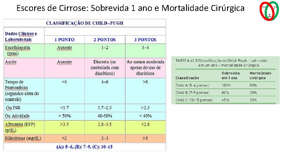Escores de Cirrose: Sobrevida 1 ano e Mortalidade Cirúrgica Básico Clínic o MSP 4211