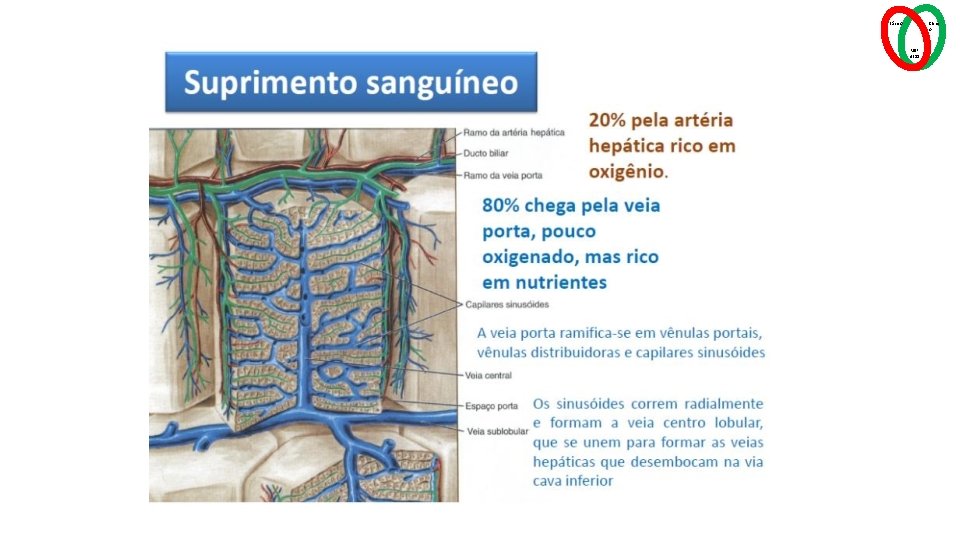 Básico Clínic o MSP 4211 