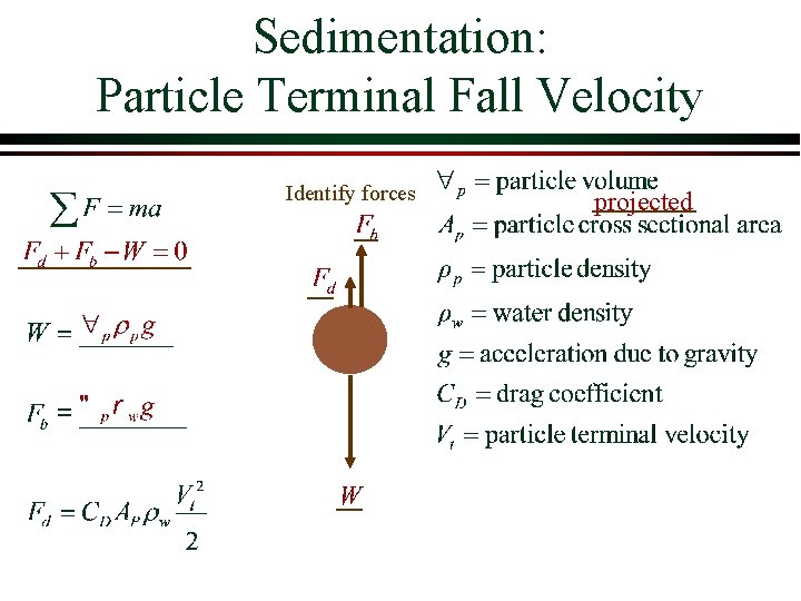 Sedimentation: Particle Terminal Fall Velocity Identify forces projected Sedimentation: Particle Terminal Fall Velocity Identify forces projected