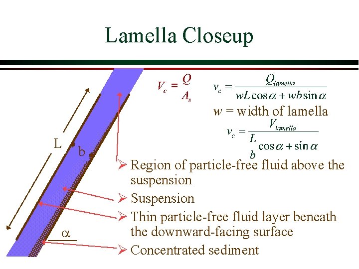 Lamella Closeup w = width of lamella L a b Ø Region of particle-free Lamella Closeup w = width of lamella L a b Ø Region of particle-free