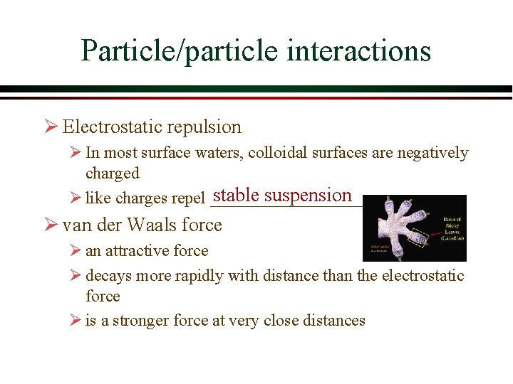 Particle/particle interactions Ø Electrostatic repulsion Ø In most surface waters, colloidal surfaces are negatively Particle/particle interactions Ø Electrostatic repulsion Ø In most surface waters, colloidal surfaces are negatively