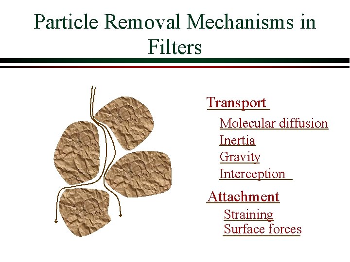 Particle Removal Mechanisms in Filters Transport Molecular diffusion Inertia Gravity Interception Attachment Straining Surface Particle Removal Mechanisms in Filters Transport Molecular diffusion Inertia Gravity Interception Attachment Straining Surface