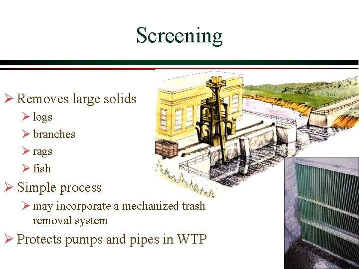 Screening Ø Removes large solids Ø logs Ø branches Ø rags Ø fish Ø Screening Ø Removes large solids Ø logs Ø branches Ø rags Ø fish Ø