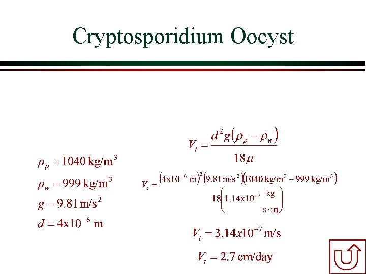 Cryptosporidium Oocyst Cryptosporidium Oocyst