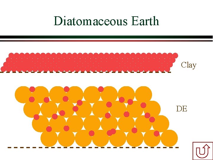 Diatomaceous Earth Clay DE Diatomaceous Earth Clay DE