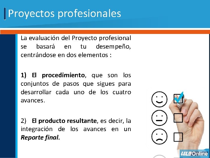 Proyectos profesionales La evaluación del Proyecto profesional se basará en tu desempeño, centrándose en