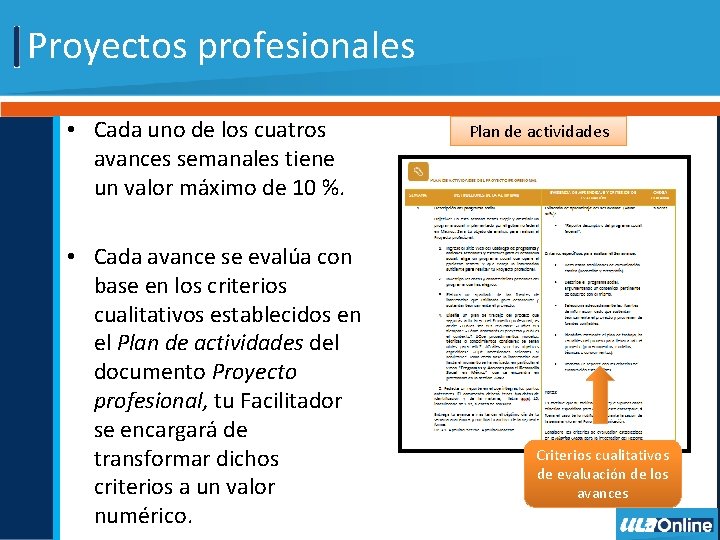 Proyectos profesionales • Cada uno de los cuatros avances semanales tiene un valor máximo